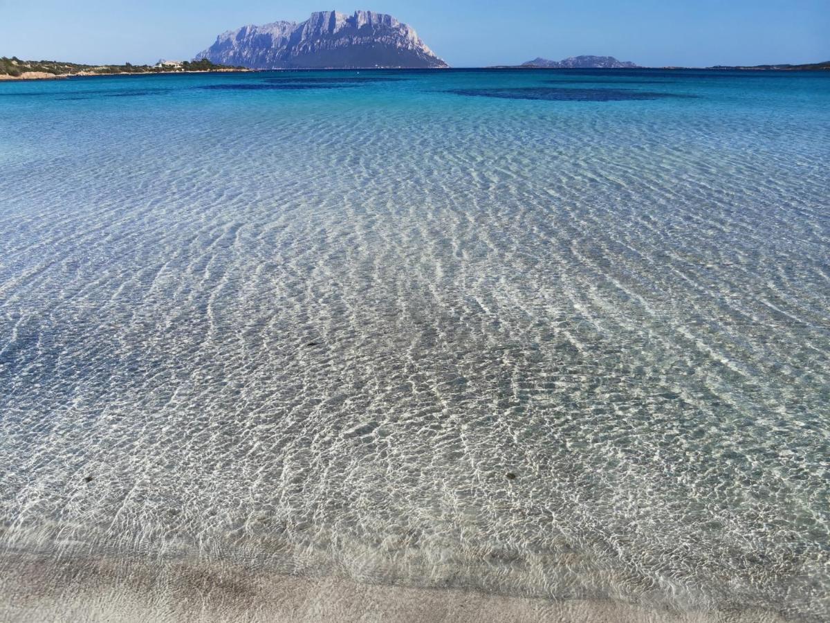 Wonderland Hotel San Teodoro  Eksteriør billede