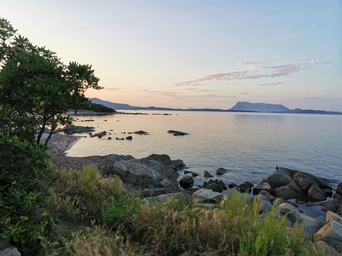 Wonderland Hotel San Teodoro  Eksteriør billede