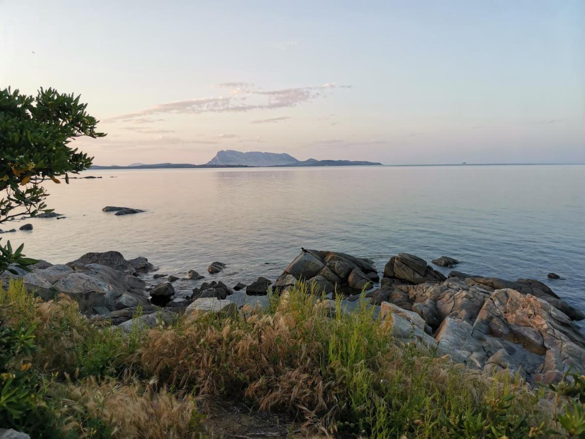 Wonderland Hotel San Teodoro  Eksteriør billede