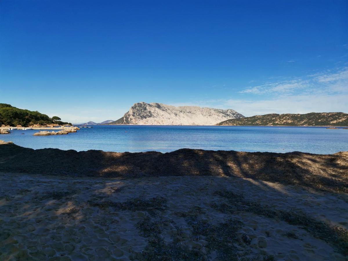 Wonderland Hotel San Teodoro  Eksteriør billede