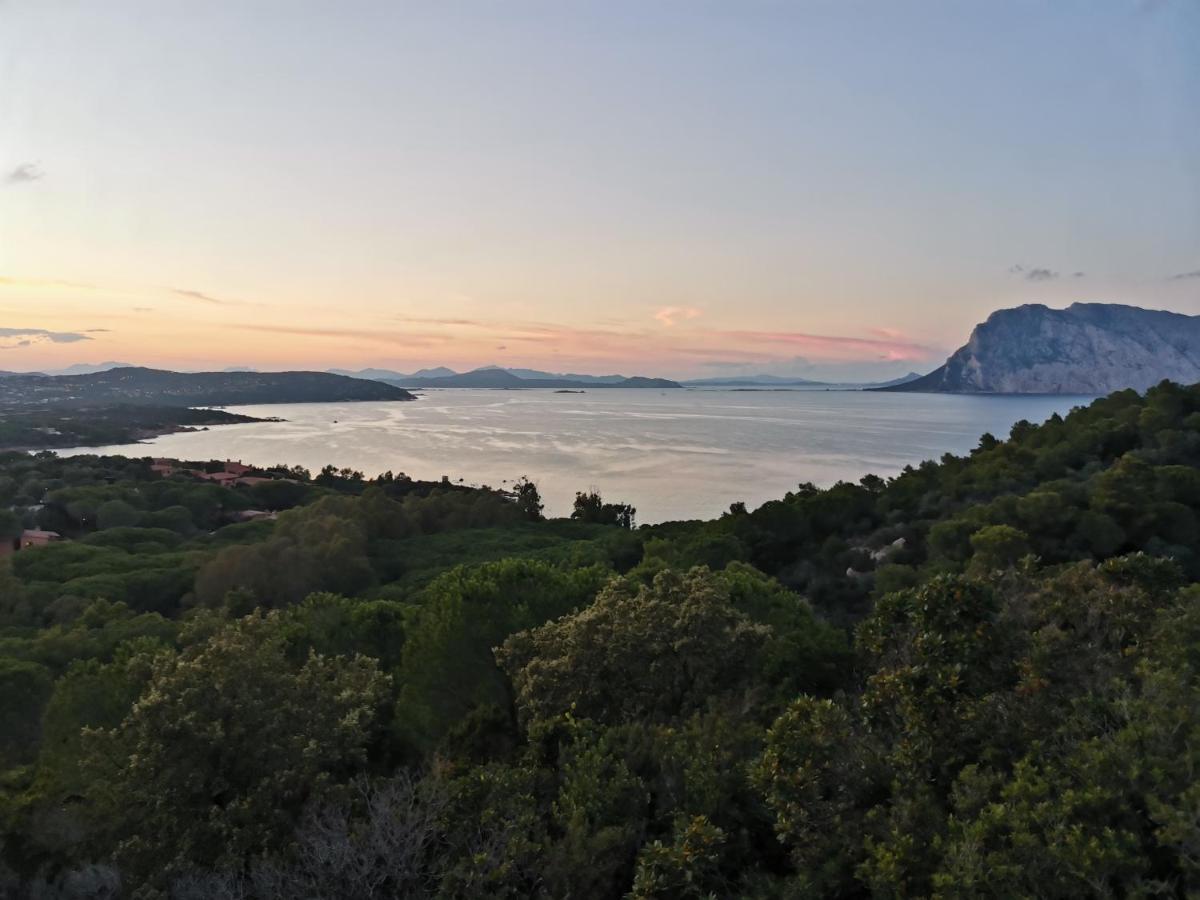 Wonderland Hotel San Teodoro  Eksteriør billede